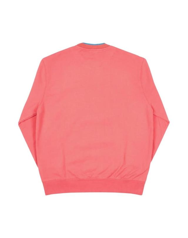 팔라스 [해외직구] 팔라스 판다 크루넥 핑크 18SS 43202 착용컷