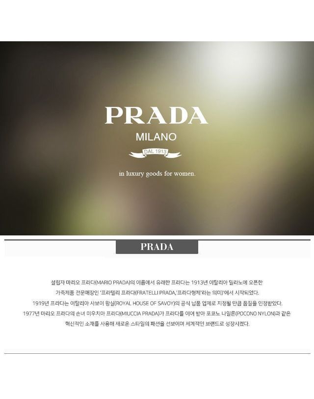 프라다 [명품] 프라다 리나일론 로고 클러치 미니백 158572629 착용컷