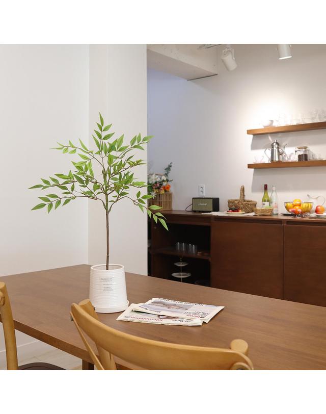 플로라퓸 플로라퓸 화분디퓨저 세라믹팟 [메세지카드 서비스] 착용컷