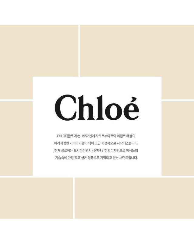끌로에 [명품] 끌로에 우디 스몰 토트백 시멘트 핑크 CHC22AS397I26 6J5 151104106 착용컷