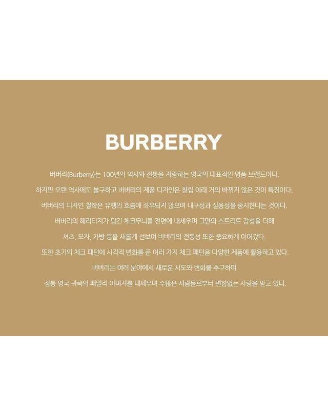 버버리 [명품] 버버리 남성 펜던트 목걸이 8129414 161232551 착용컷