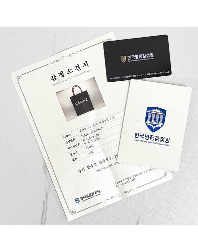 셀린느 [중고명품] [중고명품] 셀린느 스몰 블랙 레더 버티컬 카바스 토트 겸 숄더백 189813XBA 38NO 158750954 착용컷