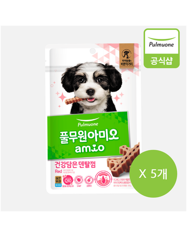 풀무원 아미오 건강담은 간식 덴탈껌 레드 100g 5개