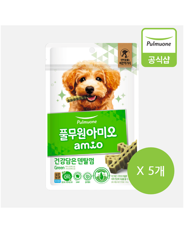 풀무원 아미오 건강담은 간식 덴탈껌 그린 100g 5개