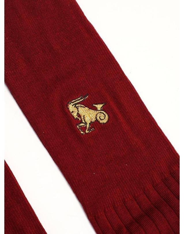 엘리오스 [해외직구][A94]ELIOS 8300287444637BORDEAUX 남성 양말 삭스 ELIOS ELIOS Capricorn Socks 착용컷