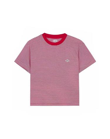 [단톤] SS26 여성 반팔 크롭 티셔츠 DT C0408 CVT RED X WHITE