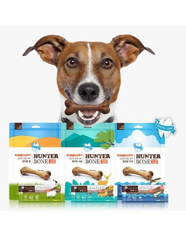[보리보리] 자연애 덴탈껌 헌터본 강아지 눈 피부 관절건강 16p 치석제거 알러지 개껌