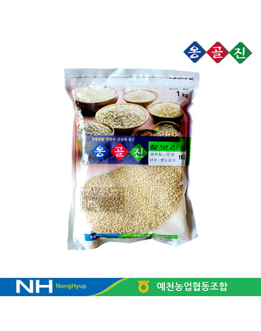 [보리보리] 예천농협 옹골진 국내산 햇 잡곡 찰보리쌀 1kg