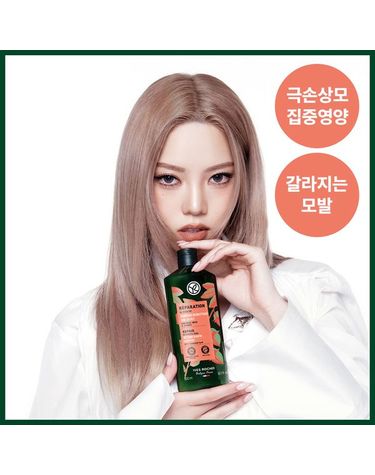[보리보리]  호호바 리페어 샴푸 300ml