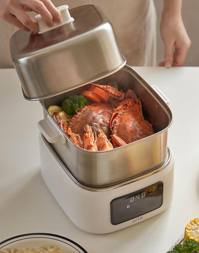 오르테 [오르테] 풀 스테인리스 2단 전기찜기/멀티쿠커 OSL-600A 착용컷