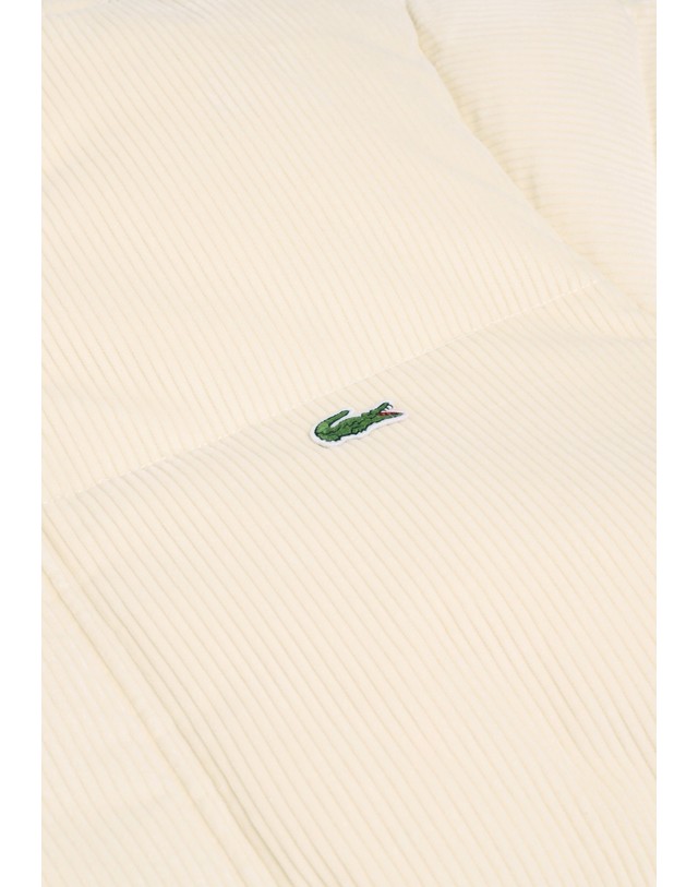 스칼퍼스 라코스테 코듀로이 퀼팅 패딩 자켓 78703 ECRU 아이보리 착용컷