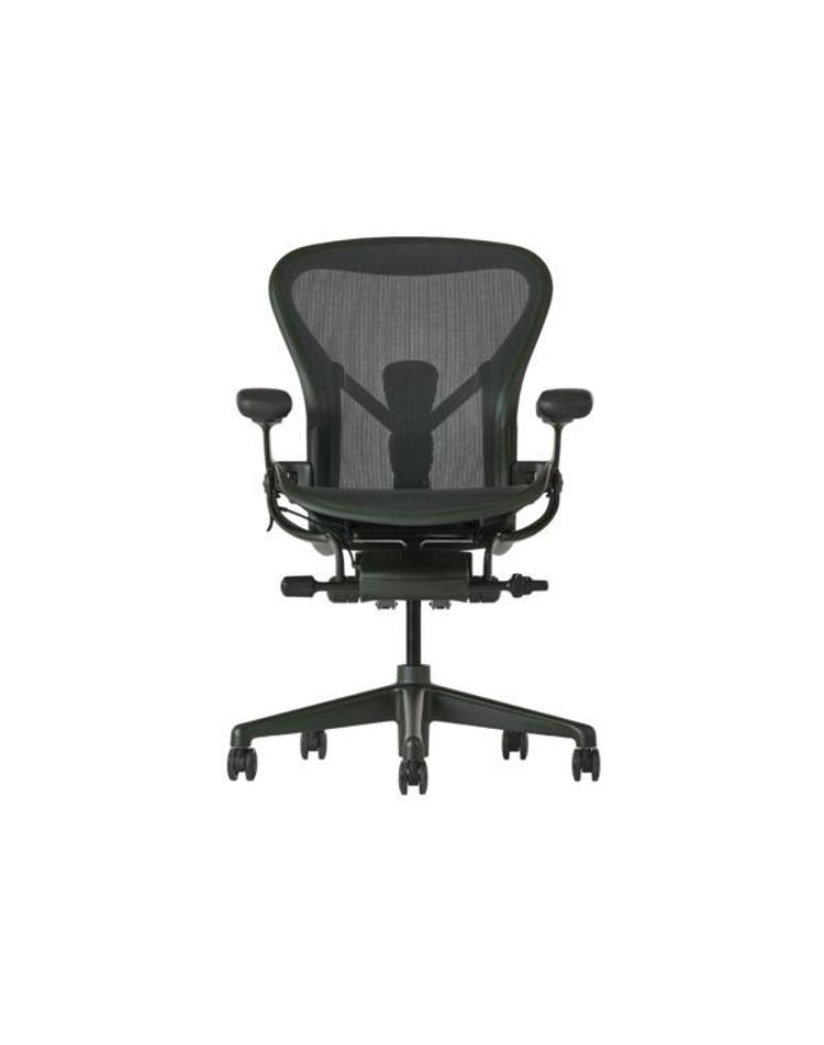 Herman Miller 허먼밀러 에어론 풀 옵션 C사이즈 재스퍼 FIWOXX00564