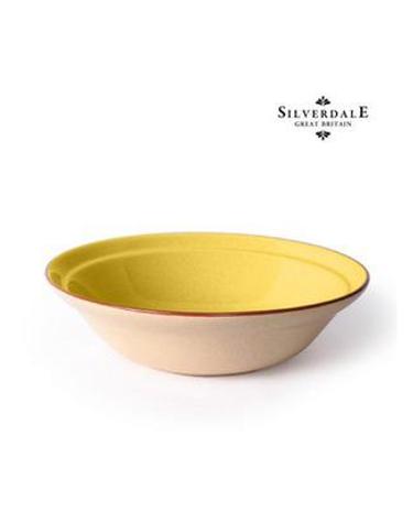 [Silverdale 실버데일] 아리멘티 옐로우 구오메디쉬