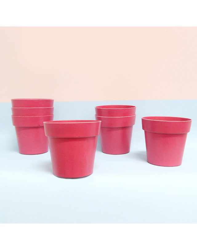 림드 RYMD 핑크팟 친환경 핑크 미니화분 2Color 착용컷