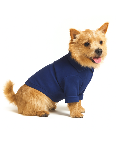 [HAZZYS PUPPY] 블루 스타일 강아지 의류