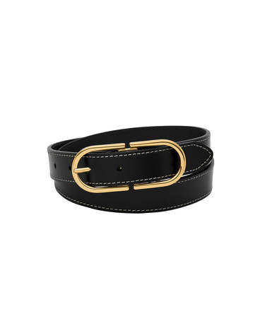 [공식본사정품] 파슬 BT4419001 (D-Link) D-링크 벨트