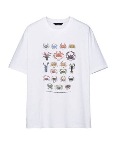 CRABSTAR 크롭 반팔 티셔츠 화이트