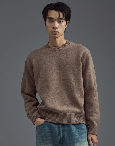 울 블렌드 라운드넥 니트 브라운