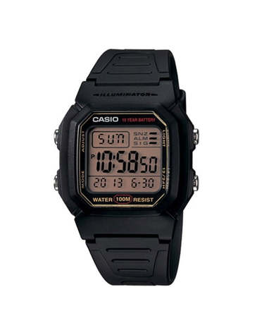 카시오 전자 남성레진시계 W-800HG-9A