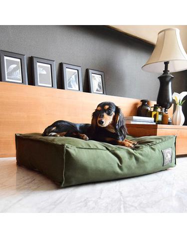 KHAKI EDGE BED