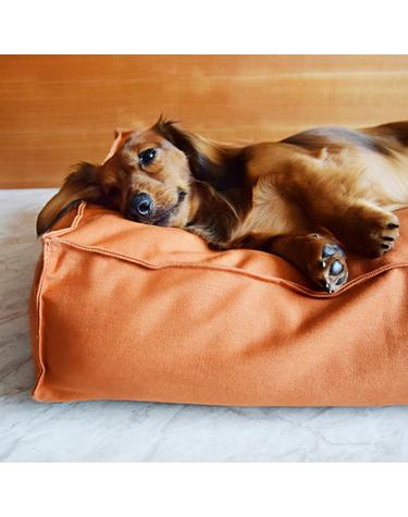 ORANGE EDGE BED