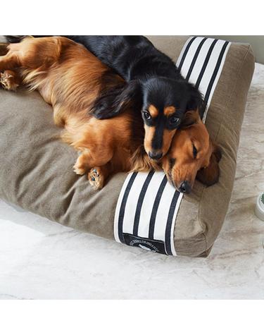 BROWN LUCKY STRIPE BED