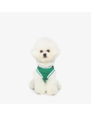 강아지 나시티 (그린)