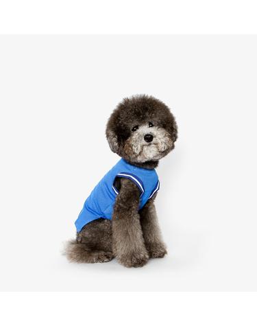 강아지 나시티 (블루)