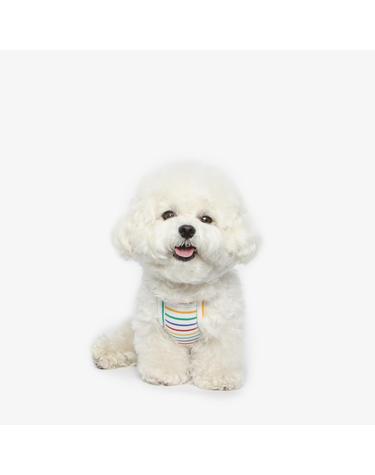 강아지 레인보우 끈나시 티셔츠