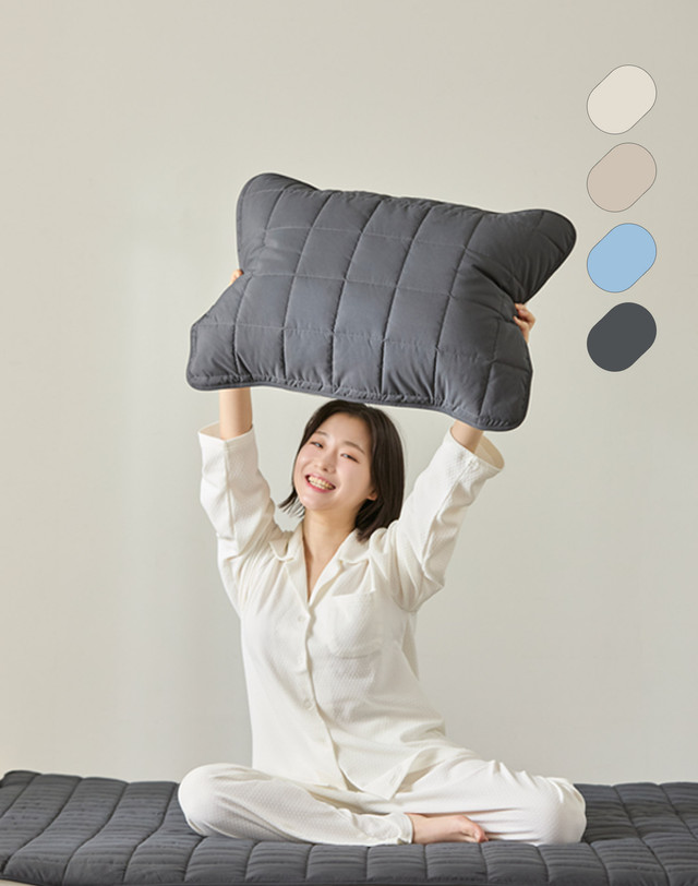 프로텍트 어 베드 프로텍트어베드코리아 (단품/1+1)알러씰 에브리데이 진드기(빈대)차단 방수 밴딩 베개커버 50x70 착용컷