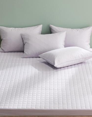 [샤이닝홈] 마인 S10 10cm 순면 누빔 라텍스커버 3size 6colors