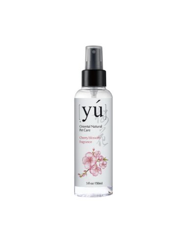 [와이유] yu 체리블라썸 프레이그런스_150ml