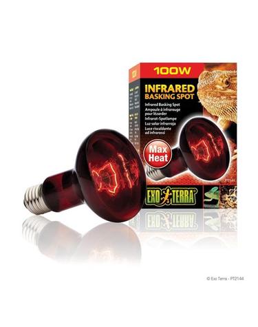 [하겐]파충류 적외선 램프 100W