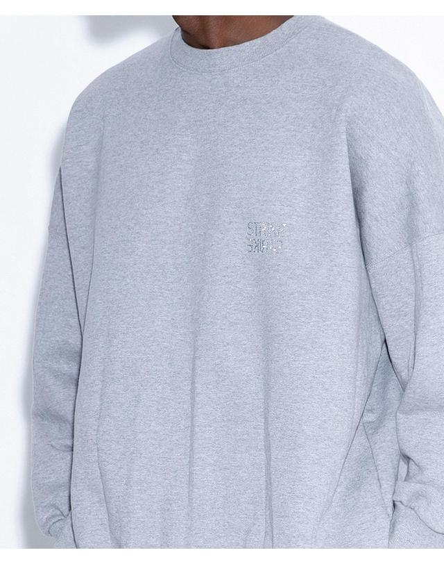 스트라이크 그라비언 크리스탈 스웻셔츠 Gravion Crystal Sweatshirt (GREYㅣBLACK) 착용컷