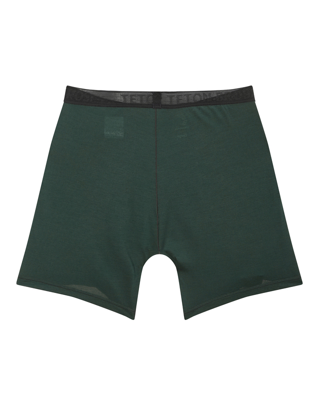 티톤 브로스 Axio Lite Trunks 진한 초록 착용컷