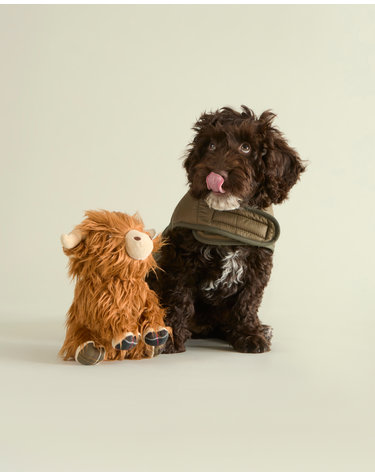 도그 Highland Cow 토이