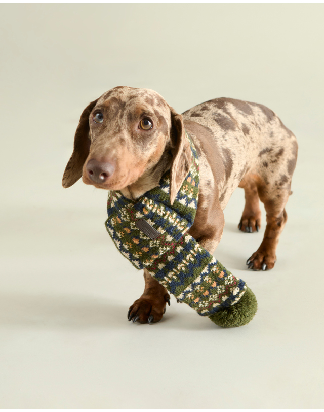 바버 도그 올리브 Marlow Fair Isle 스카프 진한 연두 착용컷