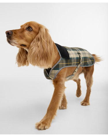 도그 라이트그린 Tartan 워터프루프 코트