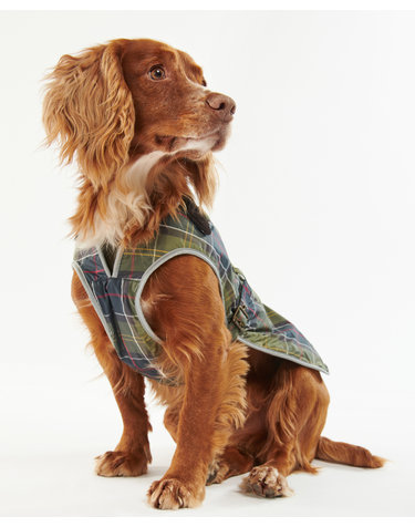 도그 멀티컬러 Tartan 워터프루프 코트