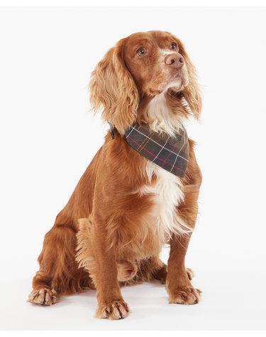 도그 멀티컬러 Tartan 반다나