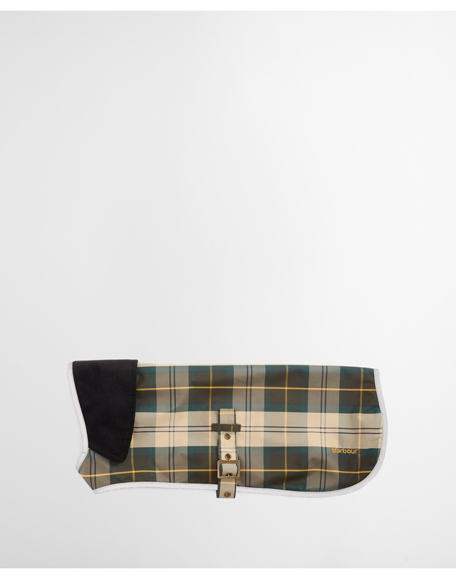 바버 도그 라이트그린 Tartan 워터프루프 코트 밝은 초록 착용컷