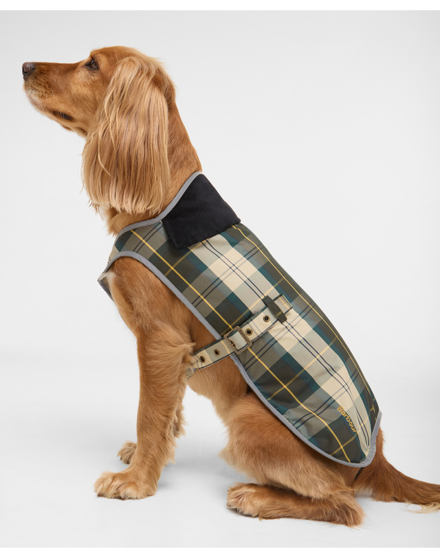 바버 도그 라이트그린 Tartan 워터프루프 코트 밝은 초록 착용컷