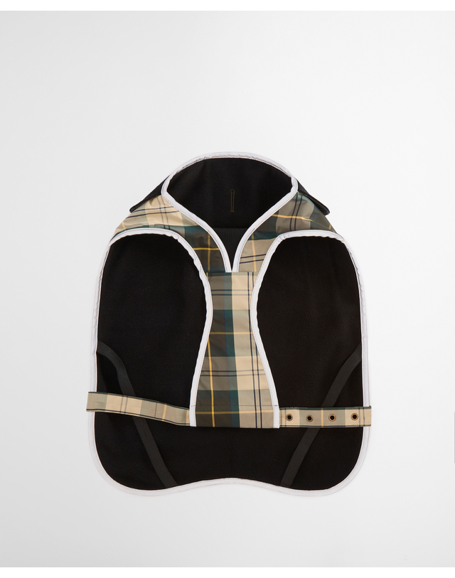 바버 도그 라이트그린 Tartan 워터프루프 코트 밝은 초록 착용컷