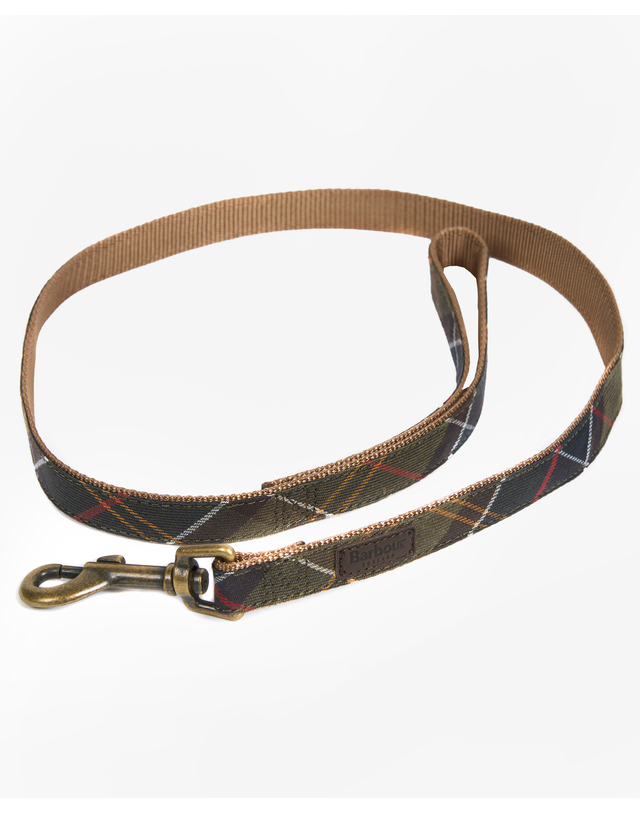 바버 도그 Tartan/Webbing 리드 MULTI COLOR 착용컷
