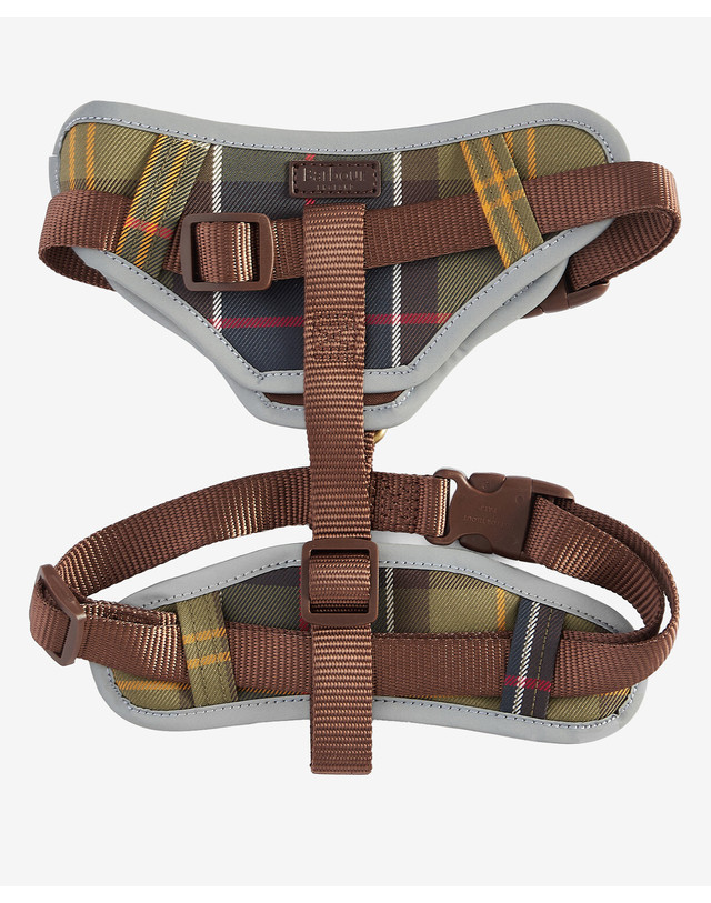 바버 도그 멀티컬러 Fully Adjustable 하네스 MULTI COLOR 착용컷