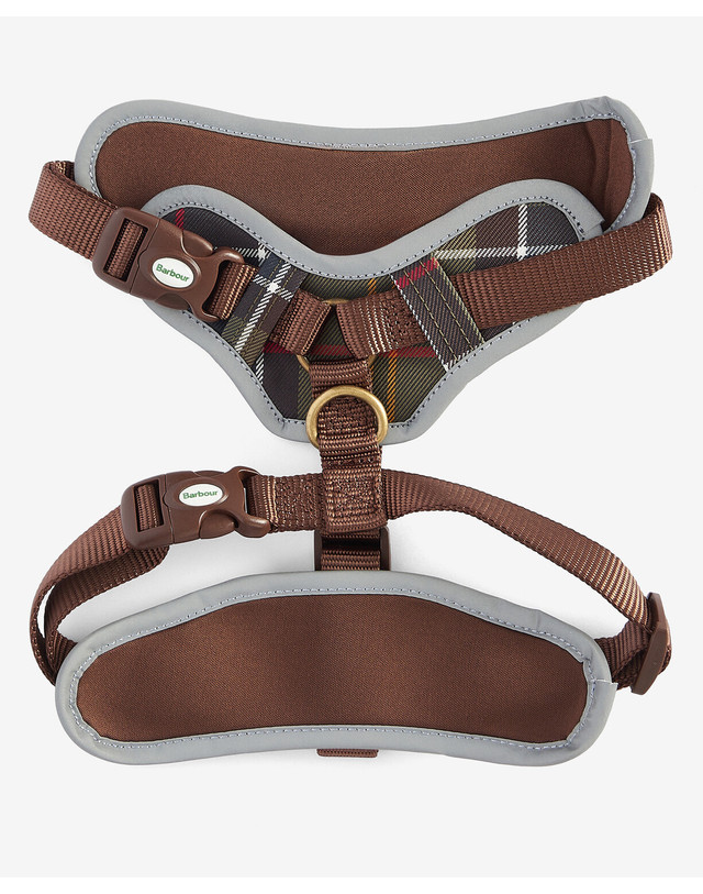 바버 도그 멀티컬러 Fully Adjustable 하네스 MULTI COLOR 착용컷
